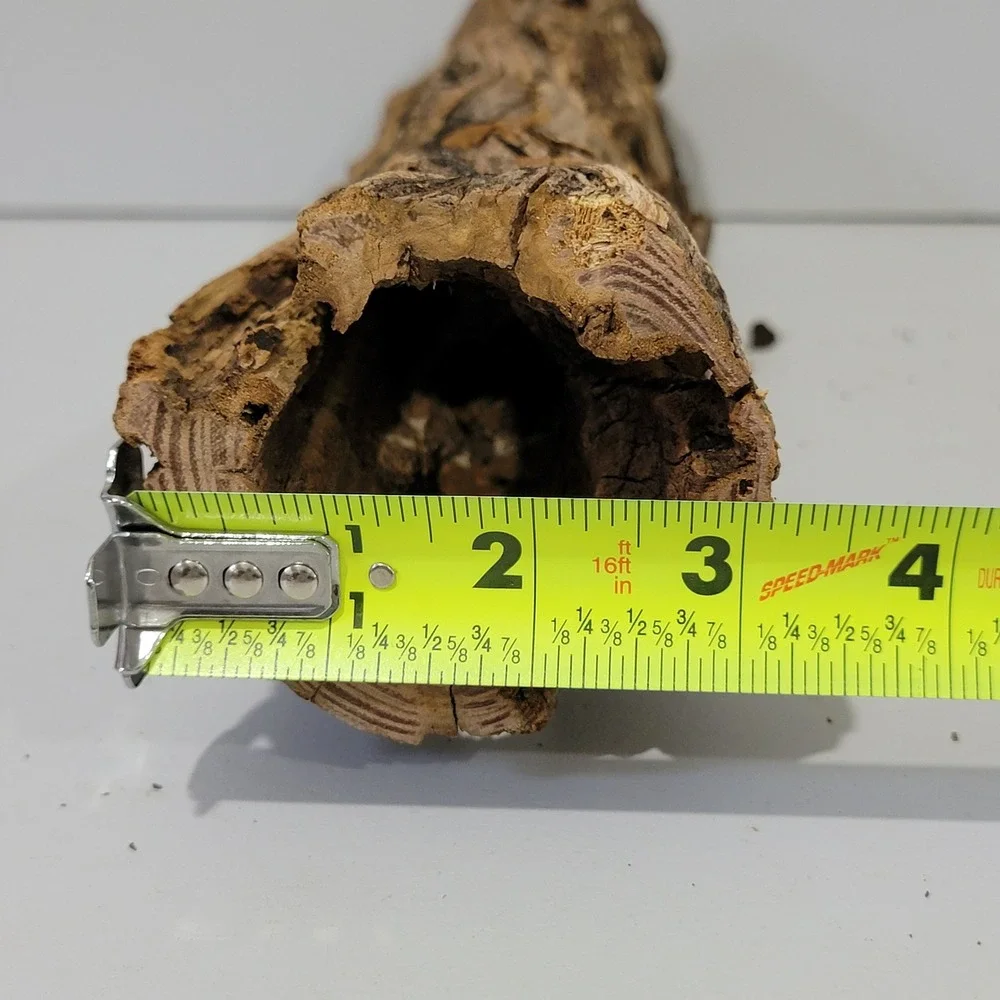 Natural Hollow Log Wood Air Plant Holder Rustic Terrarium Decor 11 inch